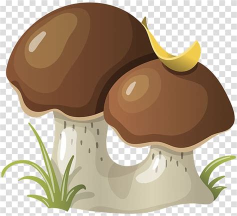 Edible Mushroom Mushroom Transparent Background Png Clipart Hiclipart