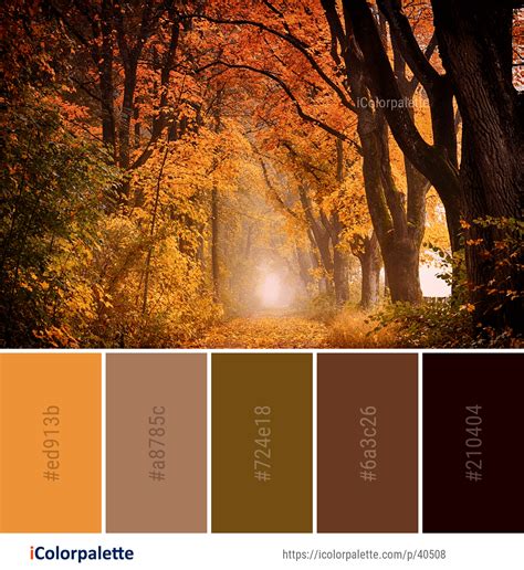 Color Palette Ideas From 267 Autumn Images Icolorpalette Paint