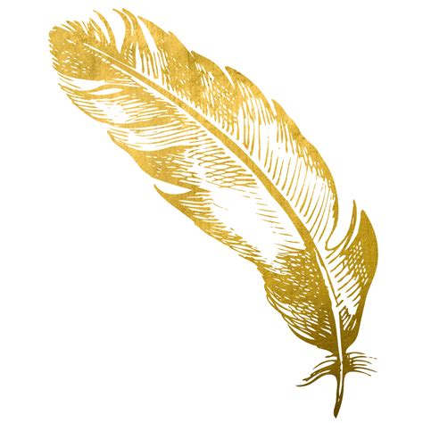 Gold Feather Feathers Native Sticker By Birdiescreations