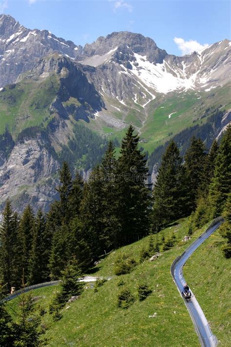 Alpine Slide In The Swiss Alps Stock Photos Image 14473703