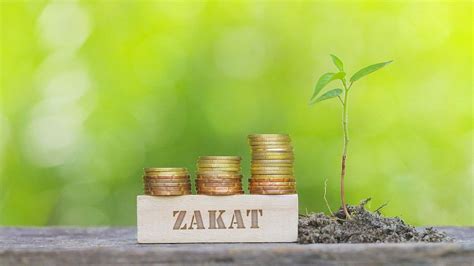 Zakat: What is it and How much should I pay?