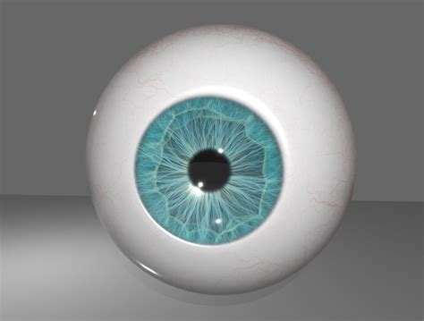 3d Model Rigged Human Eye Cgtrader