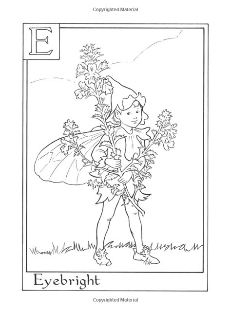 There are 24 alphabet coloring pages. Amazon.com: Flower Fairies Alphabet Coloring Book ...