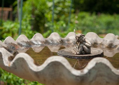 Pour out the water and rinse the bird bath with clean water. How to Keep a Bird Bath Full