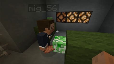 Minecraft Sex With Creeper Youtube