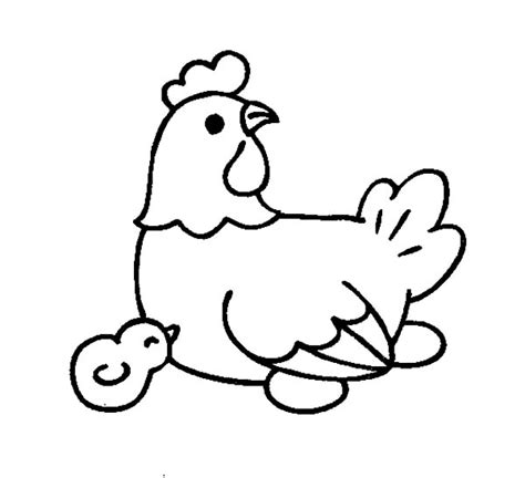 Please, use our search to find more chicken egg coloring page pictures. Chicken Lay Egg Coloring Pages - NetArt