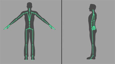 Character Rigging Animation Technical Artist