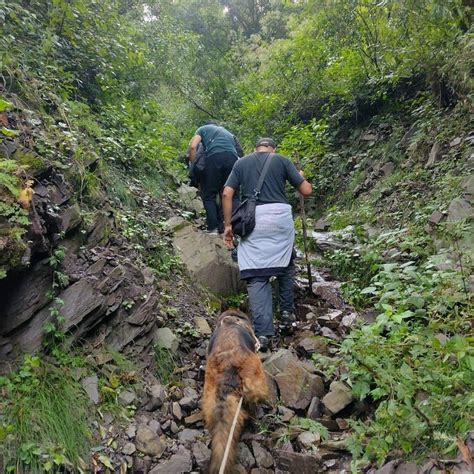 La palabra negligencia es de origen latín negligentia. Registro de visitantes a la Quebrada: "No es justo que se ...