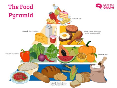 Food Pyramid Infographic Templates