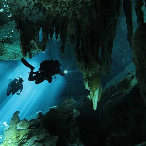 Padi Courses And Tours Cave Diving Dive Resort Tulum Travel
