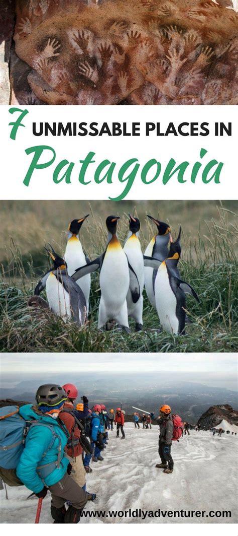 Where The Wild Things Are Where To Go In Patagonia Patagonia Travel