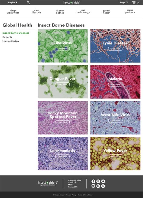 insect borne diseases - pictures, photos