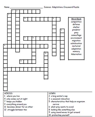 Animal Adaptations Worksheets For 4th Grade - SHOTWERK