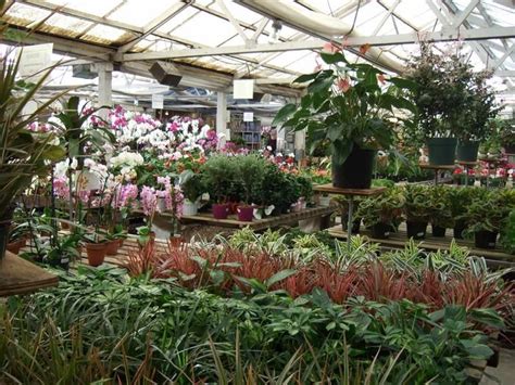 We did not find results for: Rolling Greens Culver City photos | Orchid show, Pergola ...