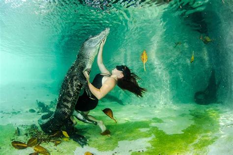 Swimming With Alligators Mirror Online