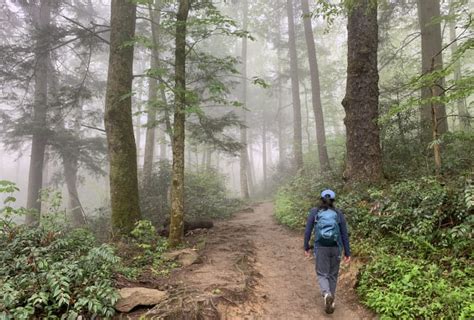 7 Great Smoky Mountains Hiking Trails To Explore The Glovetrotters