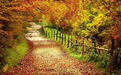 Autumn Scenes Desktop Wallpapers Top Free Autumn Scenes Desktop