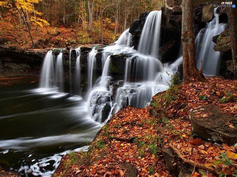 Waterfall Autumn Forest Nice Wallpapers 1920x1440