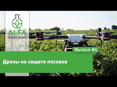 Smart Field #4: дроны на защите посевов — Latifundist.com