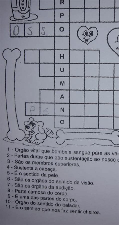 Cruzadinhas Do Corpo Humano