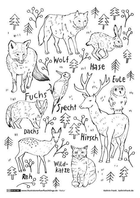 10 Best Forest Animal Coloring Pages