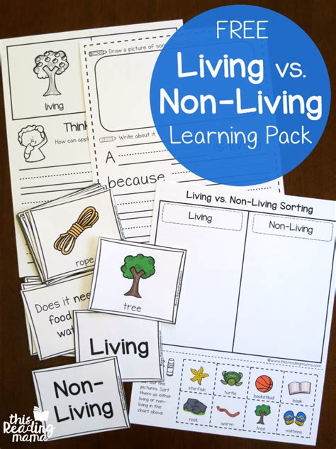 30 Living Vs Nonliving Worksheet