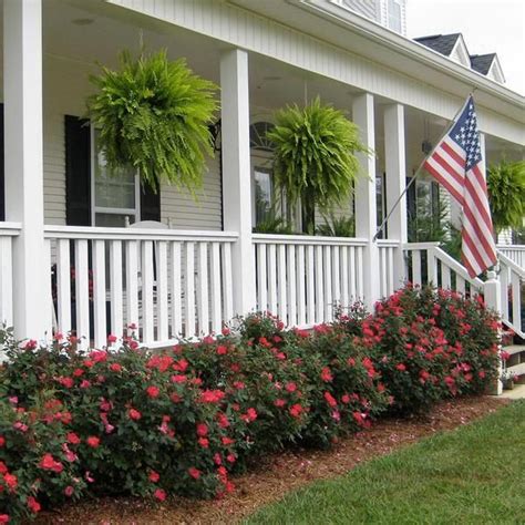 9 Top Curb Appeal Plants For Along Your Foundation Porch Landscaping