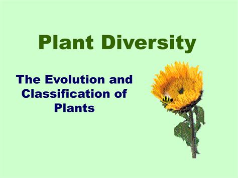 Ppt Plant Diversity Powerpoint Presentation Free Download Id2621