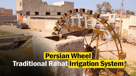 Persian Wheel Rahat Water Irrigation Method राहत सिंचाई प्रणाली