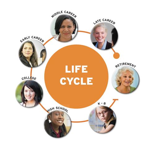 Life Cycle Of Human Human Life Cycle Stages Of Human Life Cycle