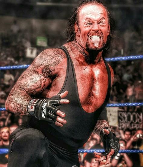 Undertaker Undertaker Wwe Undertaker Wwf Undertaker