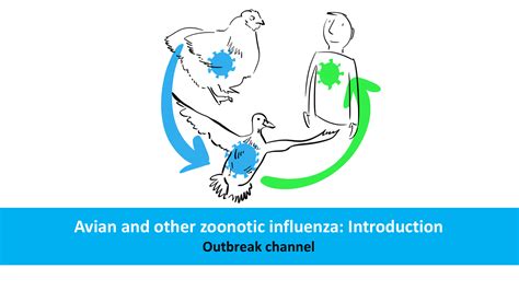 After an outbreak of a(h5n1). Avian and other zoonotic influenza: Introduction | OpenWHO
