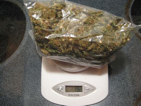 Quarter Pound Of Weed