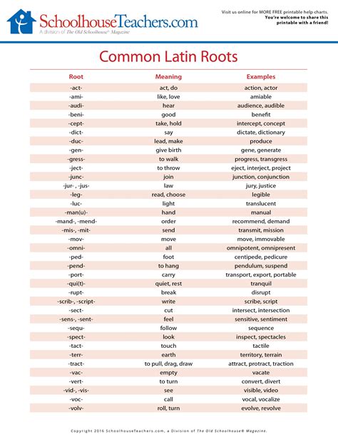 Latin Roots Latin Root Words Root Words