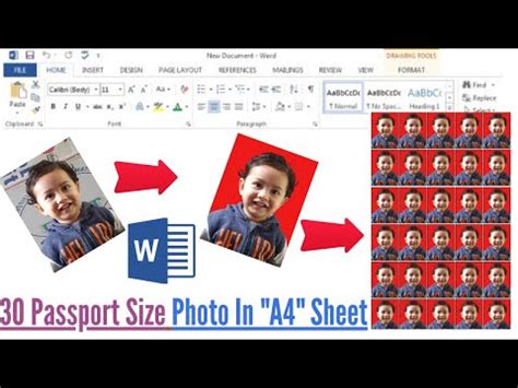 How To Set Passport Size Photo In A4 Sheet In MS Word Passport Size