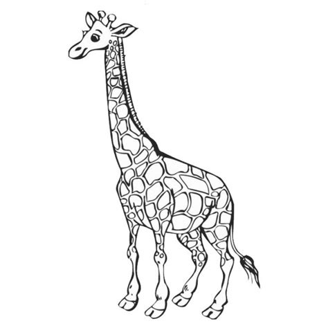Coloriage Girafe Simple Dessin Gratuit à Imprimer