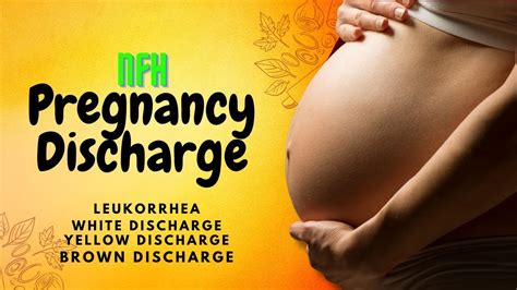 Pregnancy Discharge Explained White Discharge During Early Pregnancy Youtube