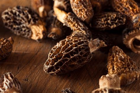 Veggie Tales: Morels, a Mouthwatering Michigan Miracle - ThinkHealth