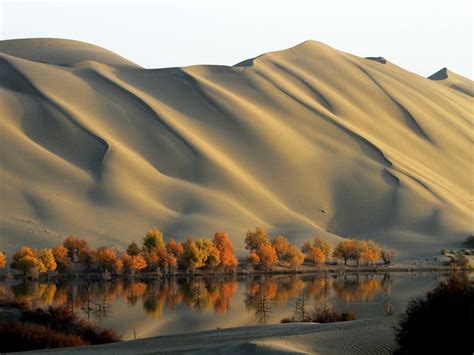Gobi Desert Landscapes Smithsonian Photo Contest Smithsonian Magazine