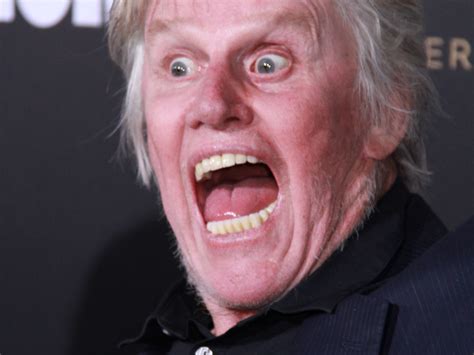 Gary Busey Spotted With Pants Down In Public Following Sex Offense