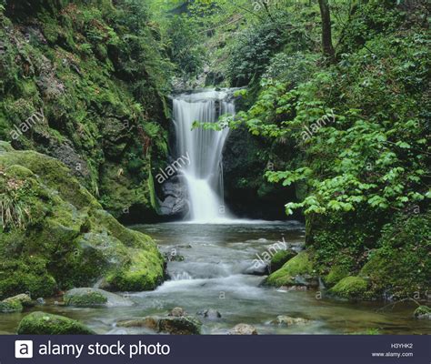 Germany Black Forest Waterfall Not Freely For Poster