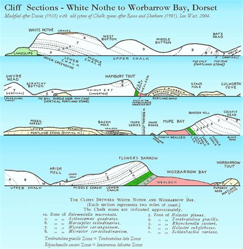 Lulworth Cove Introduction Geological Field Guide By Dr Ian West
