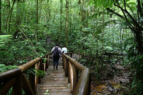 Parque Nacional La Tigra Belleza Natural En Honduras Diario RoatÁn
