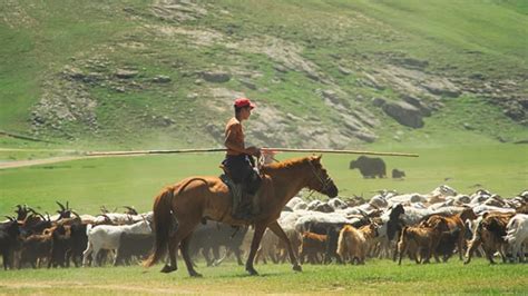 Mongolian Nomads Create Shared Funds And Financial Security Devex