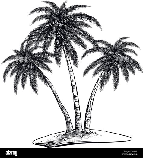 Hand Drawn Sketch Of Palm Trees In Black Isolated On White Background