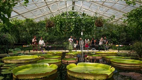 How To Fund The World Famous Royal Botanic Gardens At Kew Financial Times