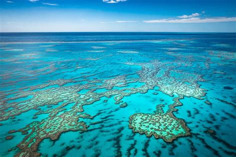 Great Barrier Reef Inspection Not Needed Because Science Was Clear