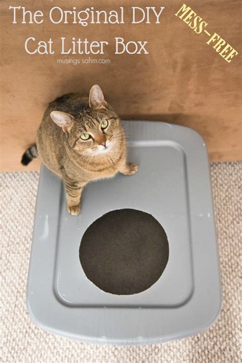 Diy Mess Free Cat Litter Box Simple Anyone Can Do It Really Cheap