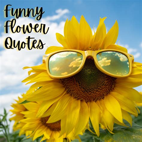 11 Funny Flower Quotes Darelletoluwani