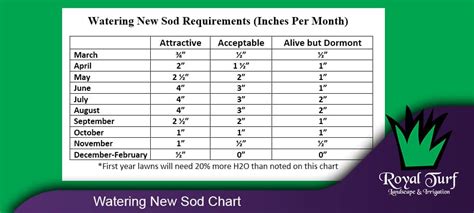 Laying sod to start new lawns begins with preparing the ground and ends with careful watering. Watering New Sod | Watering Schedule & Chart For Each Season